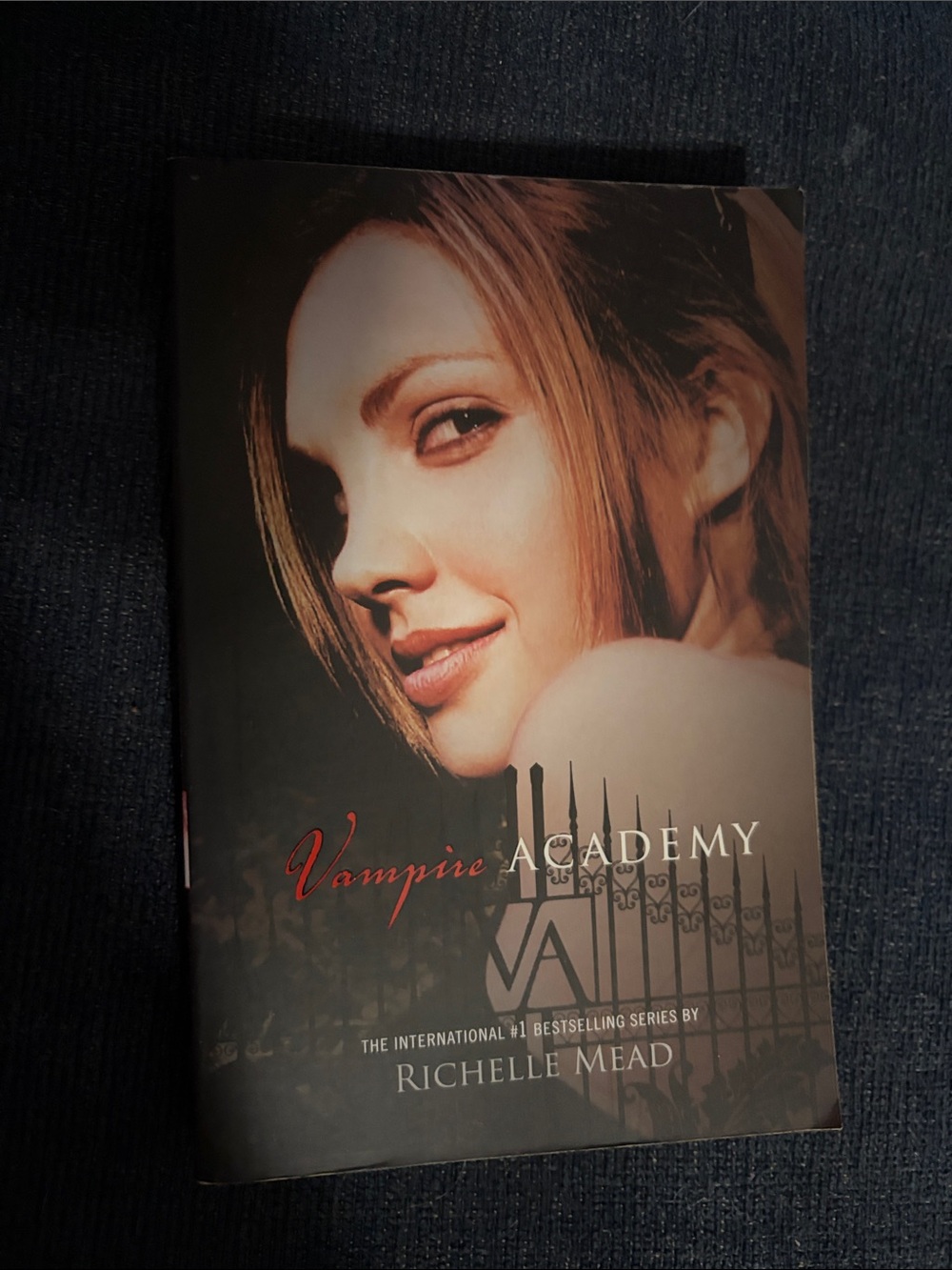 Vampire Academy by Richelle Mead - Softcover Book - Black & Beige Cover